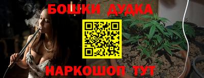 стафф Новозыбков