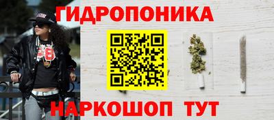 стафф Новозыбков
