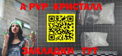 стаф Новокубанск
