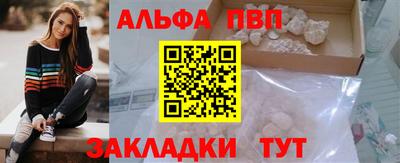 стаф Новокубанск